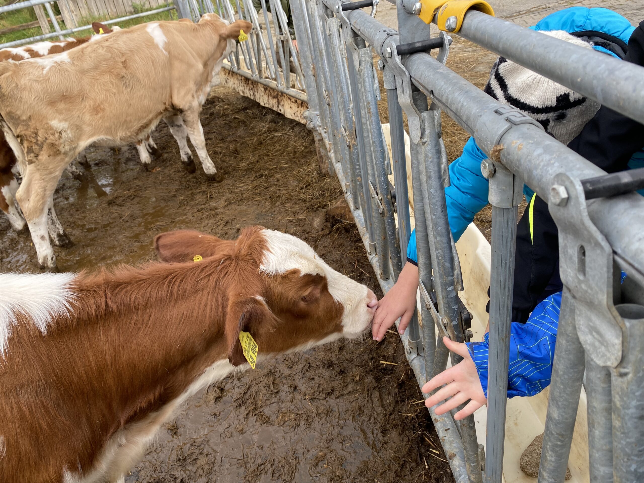 Ausflug zum Bauernhof Demmer