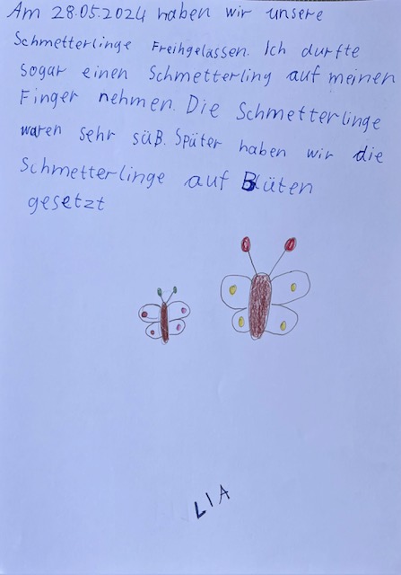 Schmetterlinge