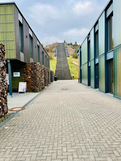 :metabolon